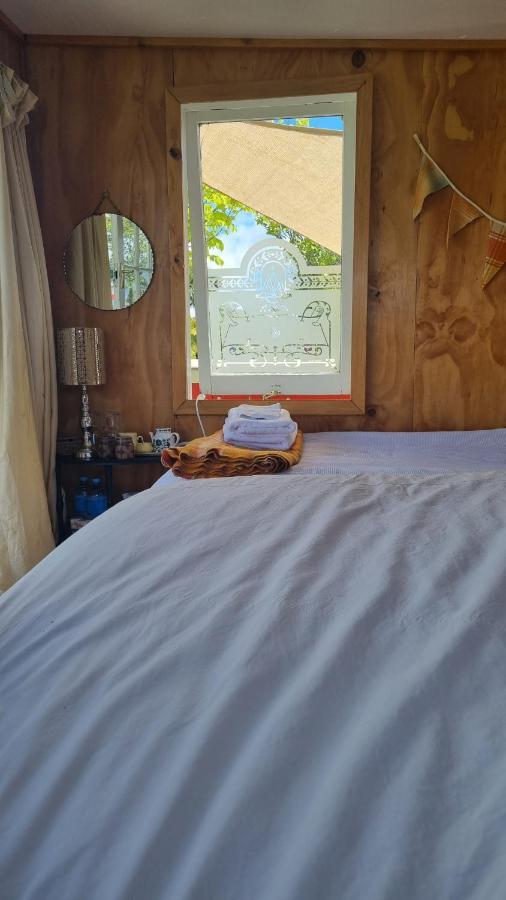 Delightful 1 Bedroom Tiny House, Unique And Memorable Westport Luaran gambar
